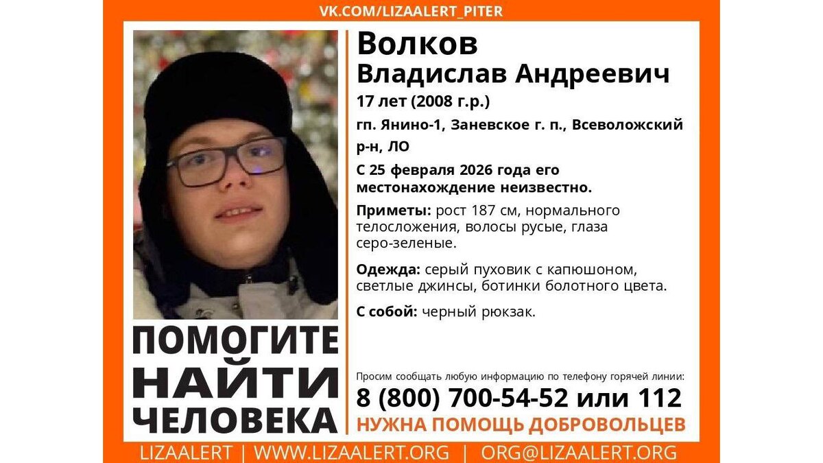    Фото: "ЛизаАлерт"