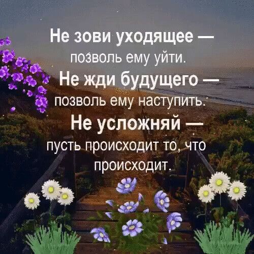 Картинка из интернета