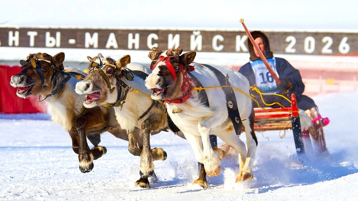    «Меховые» гонки на северных «спорткарах»: в Ханты-Мансийске определили лучших оленеводов Югры