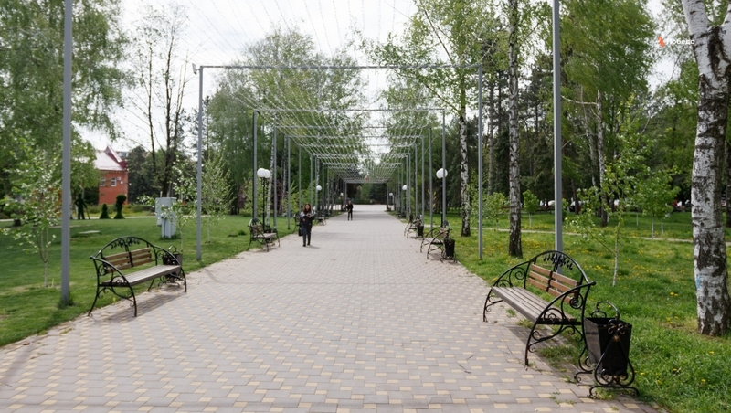      Фото: ИА «Победа26»