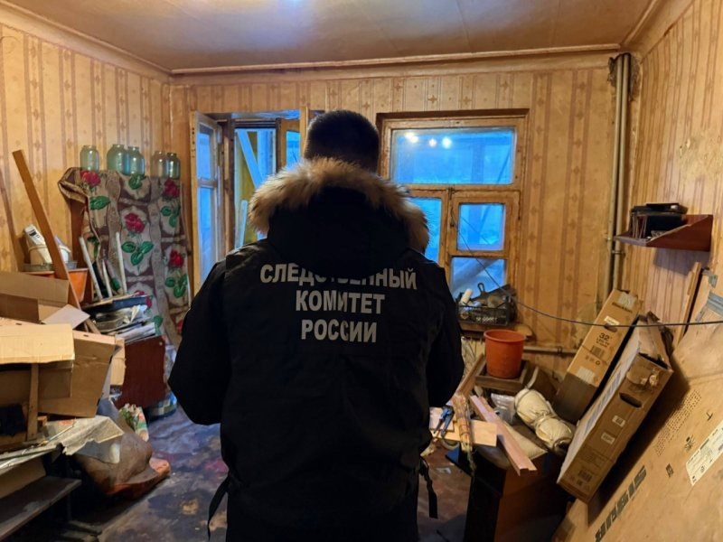     © фото - СК РФ