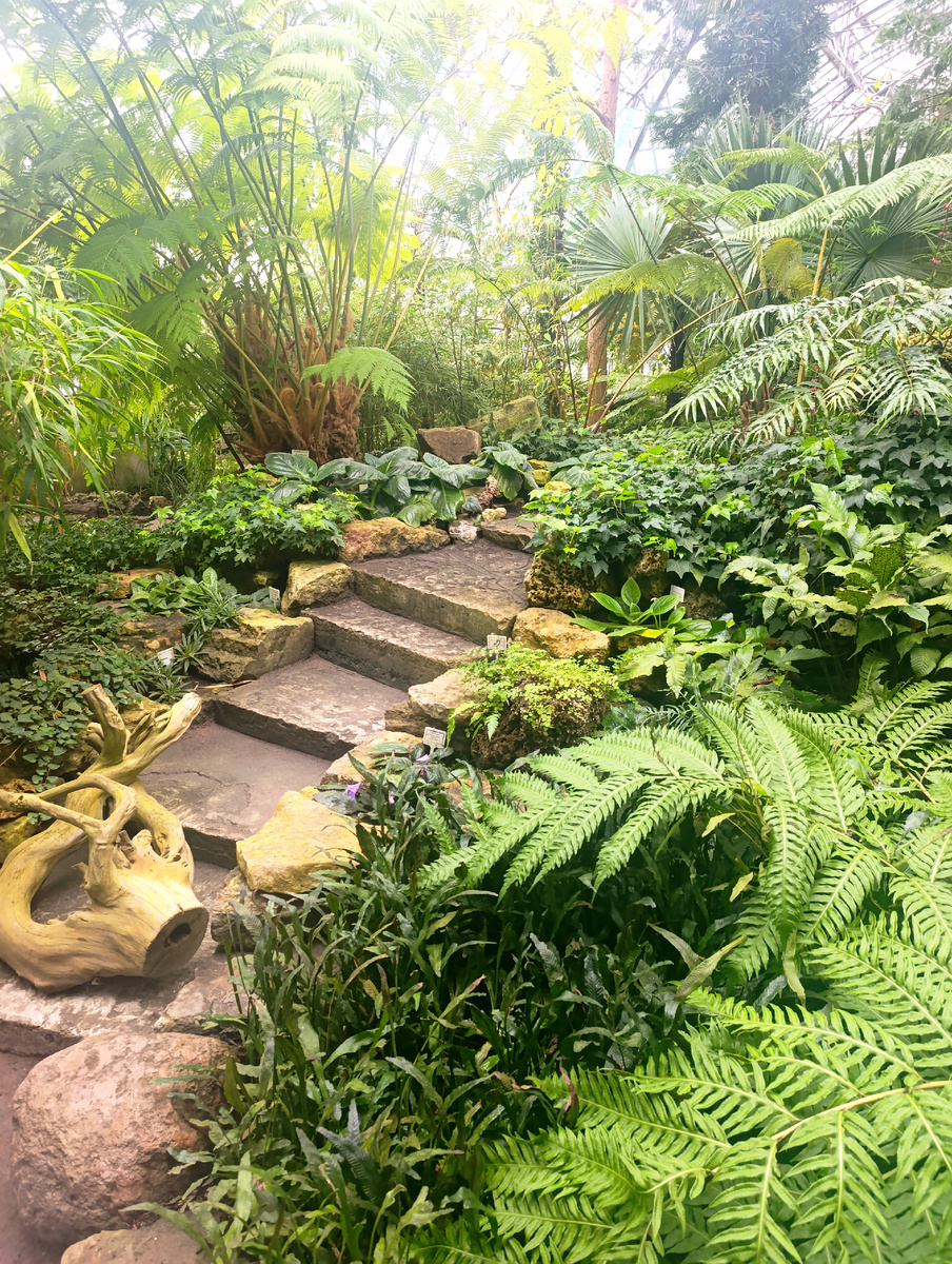 Все фото в статье авторские.