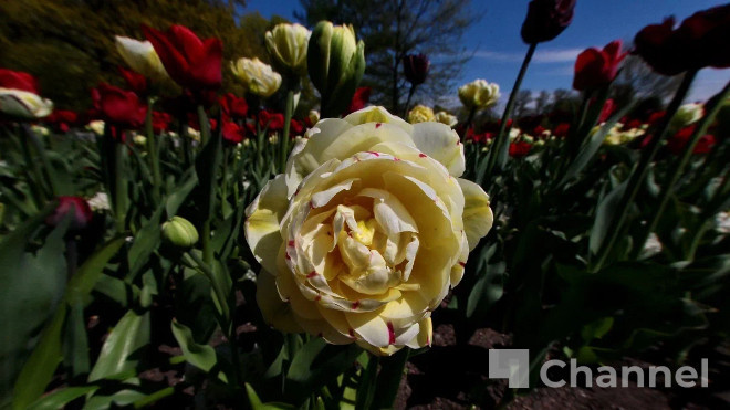 Фото: Анастасия Илюшина/47channel, архив