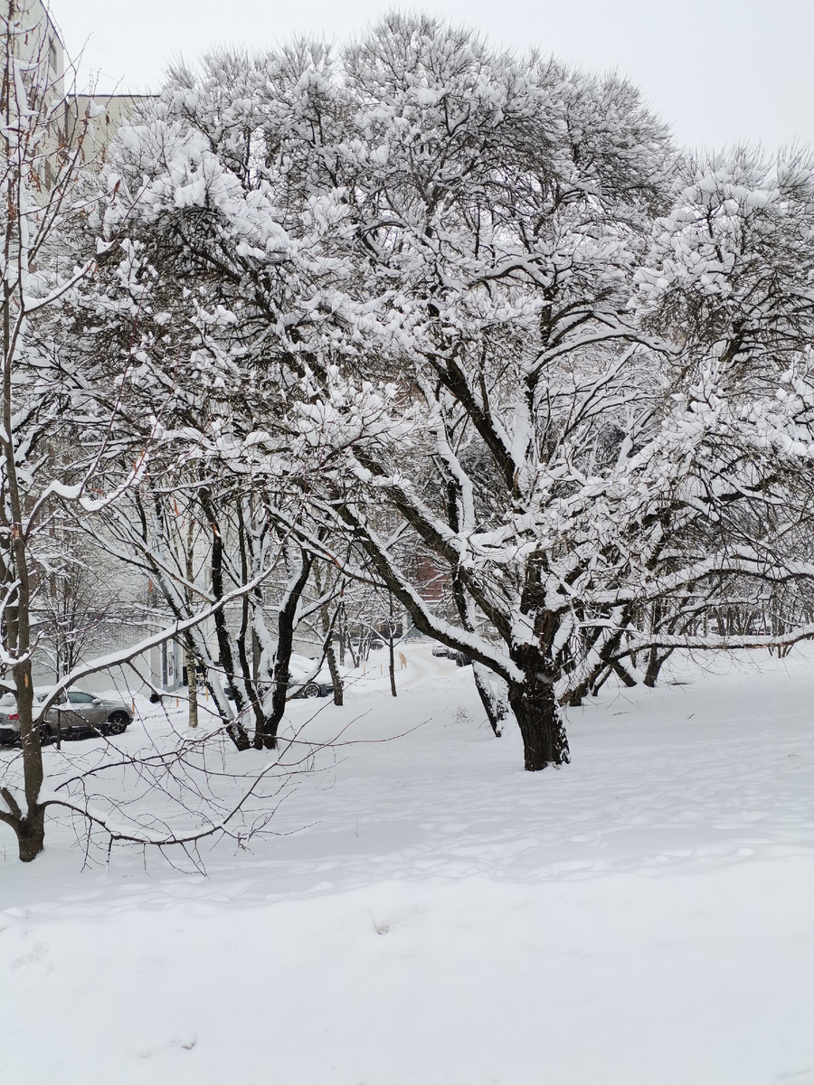 Зрение обеспечивает нам поступление 95% информации об окружающем мире. Ему мы верим!