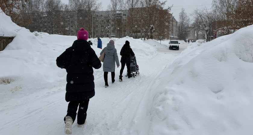    Фото: progorod43.ru