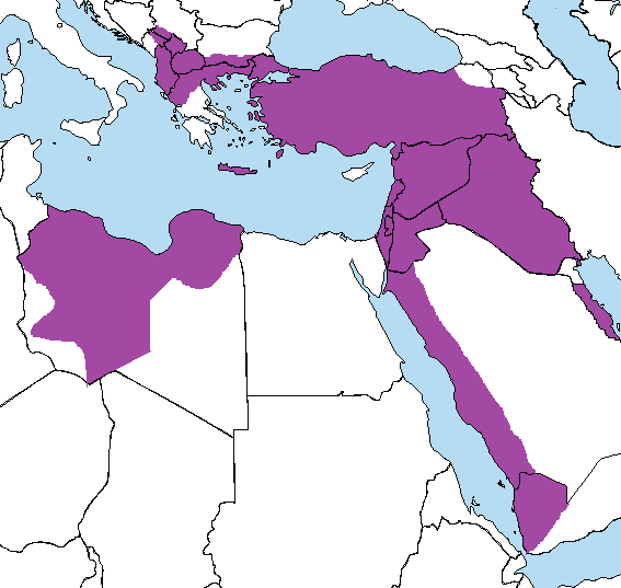 Османская империя на начало 1911 года.