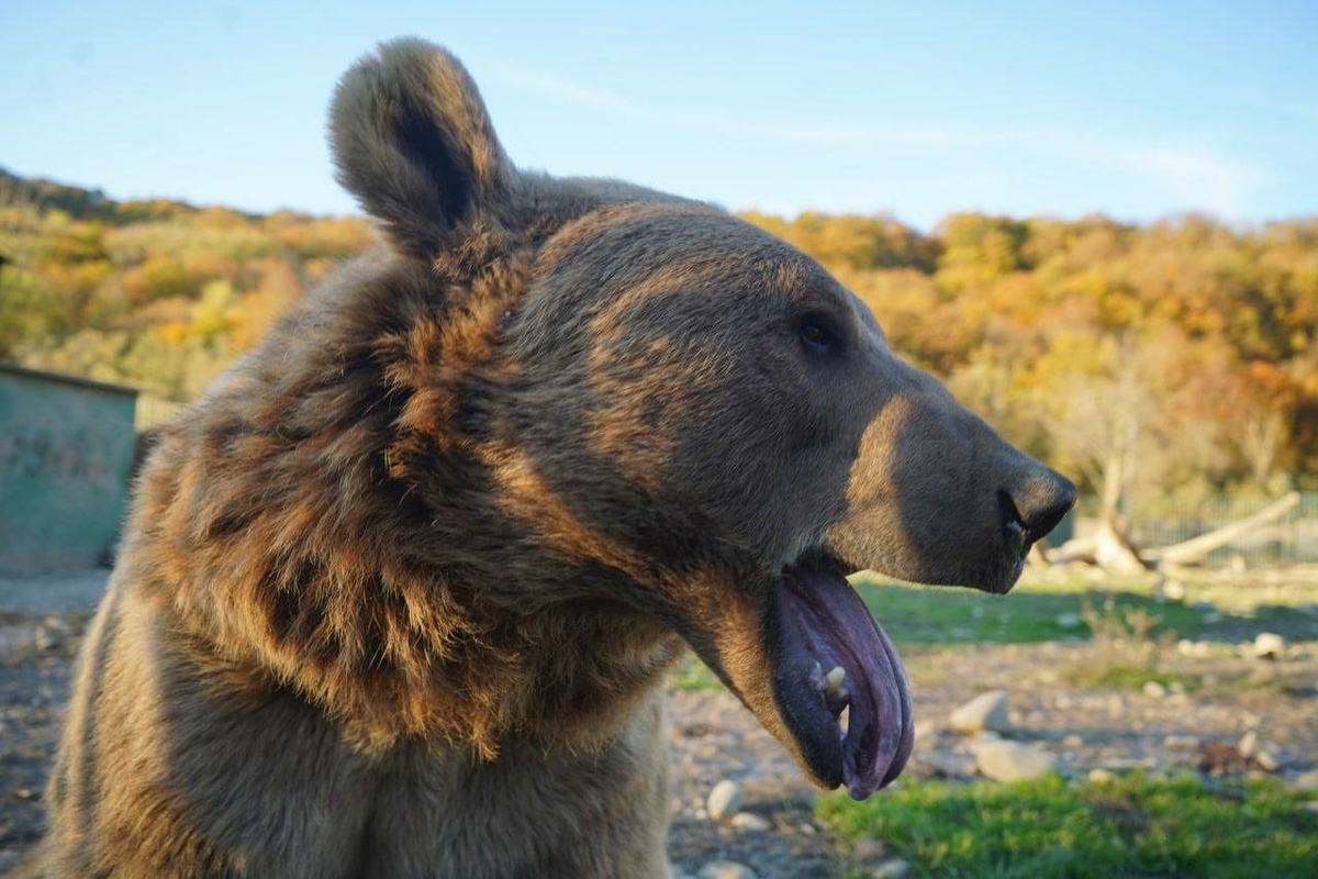 Фото: Neva.Today