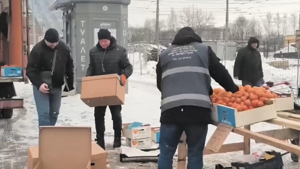    Фото: пресс-служба ККИ