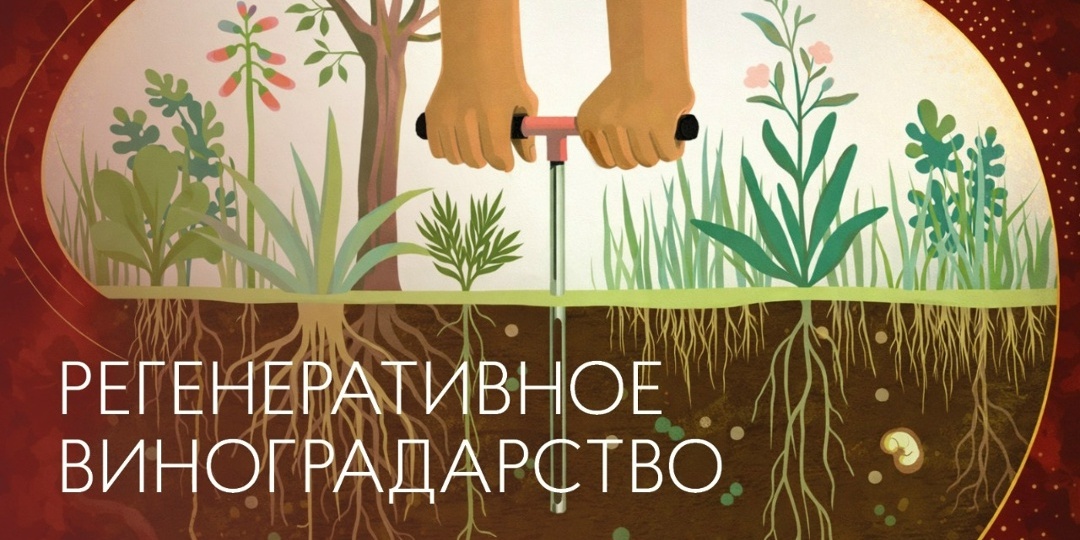 Регенеративное сельское хозяйство (или виноградарство)