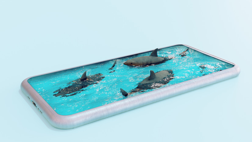 «Получить доступ к сервисам». Редко используете один из своих номеров? Это чревато. Мнение киберэксперта