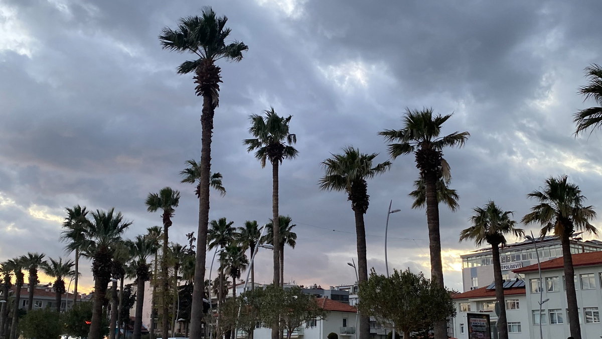 В шоу две команды — «звездная», состоящая из знаменитостей, и «народная», в которую вошли участники со всей России; фото: 1MI