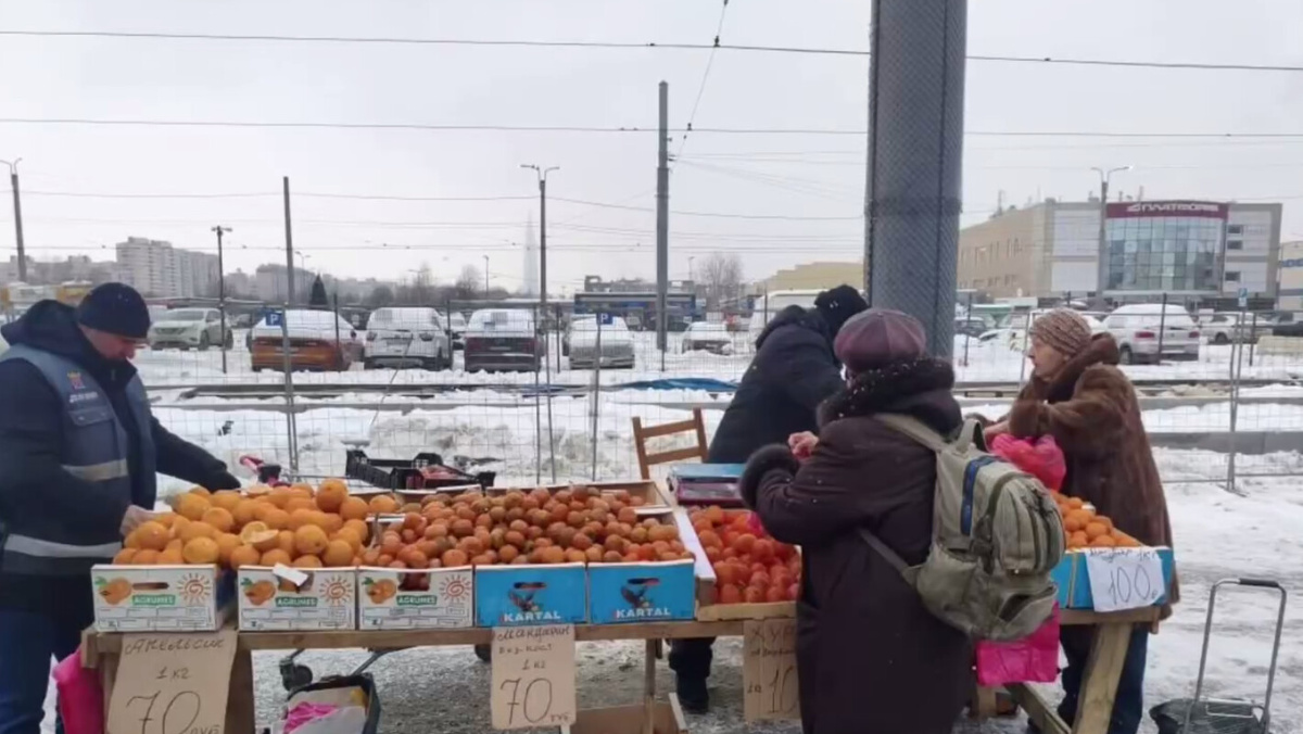 Фото: кадр видео пресс-службы ККИ Петербурга