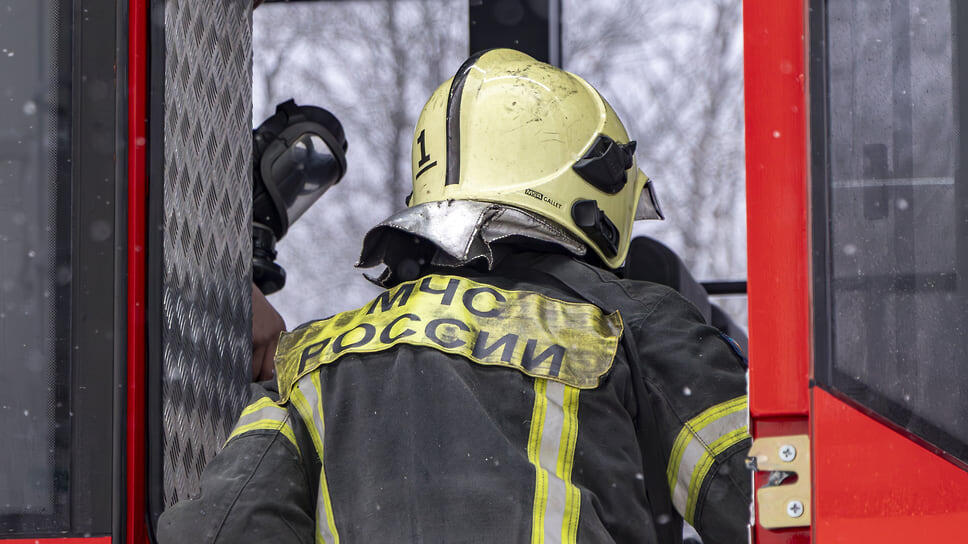 Фото: Егор Снетков / Коммерсантъ