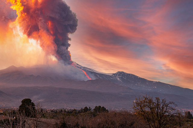    Фото: Shutterstock.com