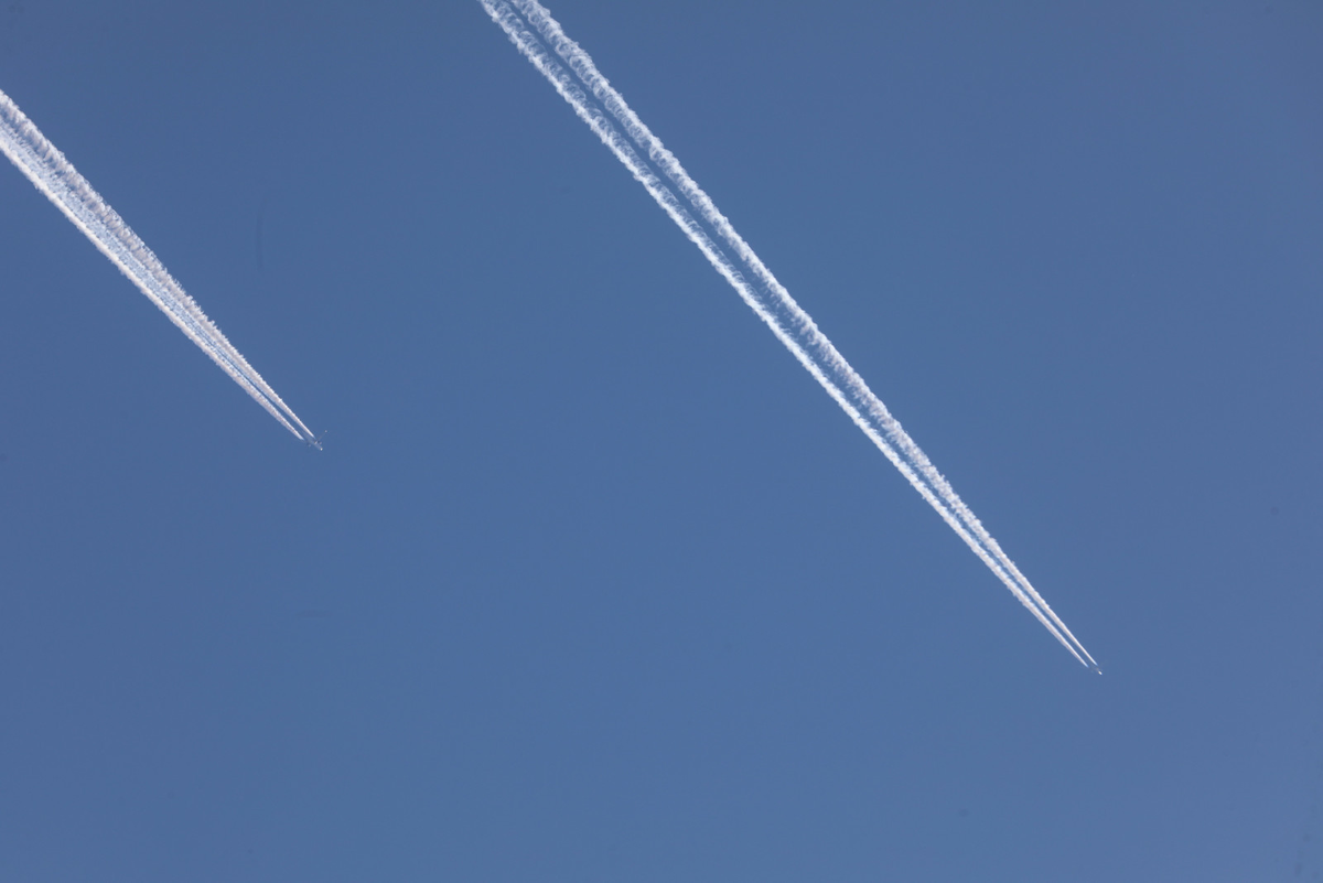 Роман Пименов/«Петербургский дневник»