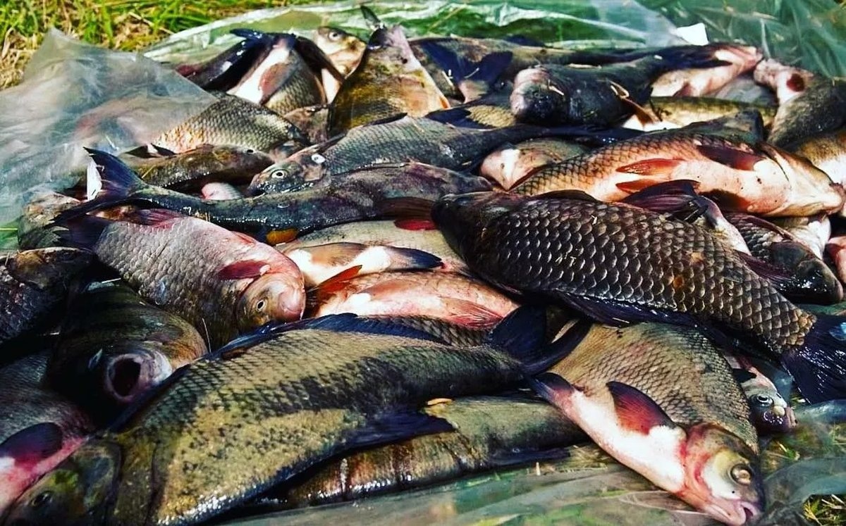 Не красиво и мерзко...