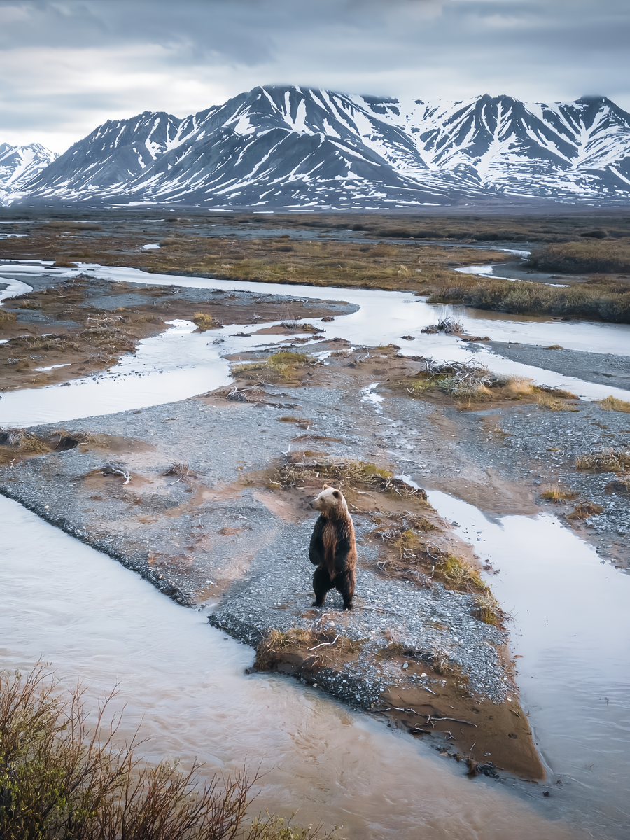 Чукотка. Фоторгаф Зенин Борис 