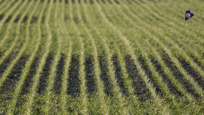      Фото: ИА «Победа26»