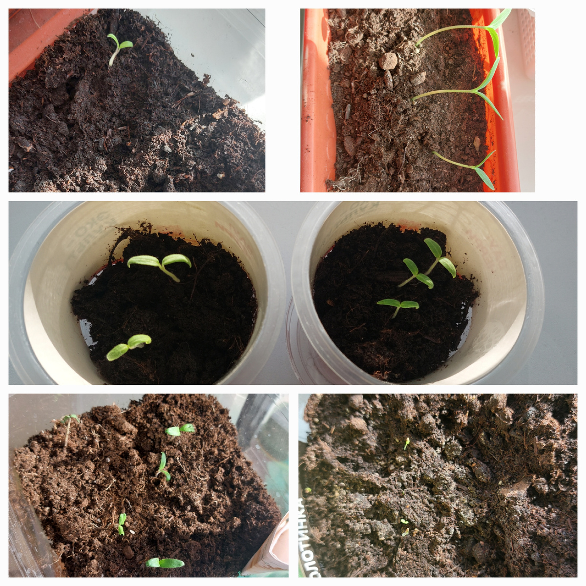 Фото от 28.02, пока светит солнышко