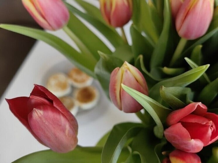     Весенняя симфония для любимой: 10 идей для подарка на 8 Марта в Хабаровске / Кирилл Старков