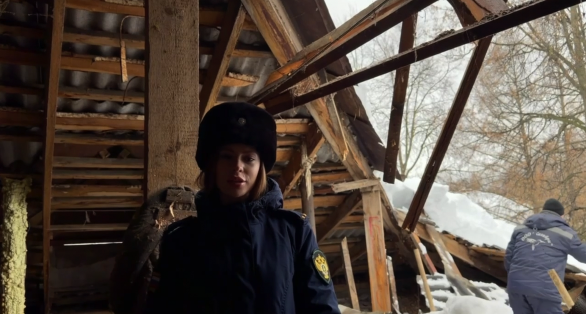    "Прокуратура Республики Марий Эл"