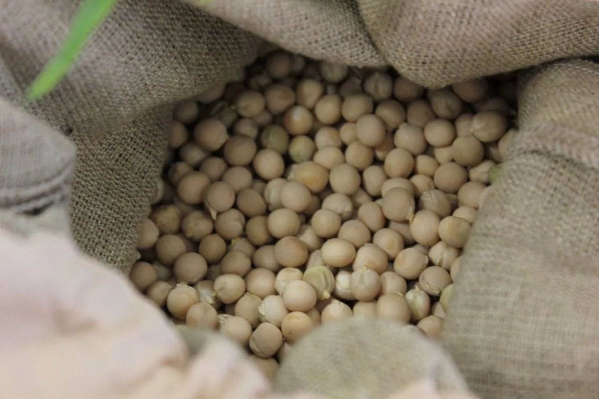 Фото: t.me/ishkovka