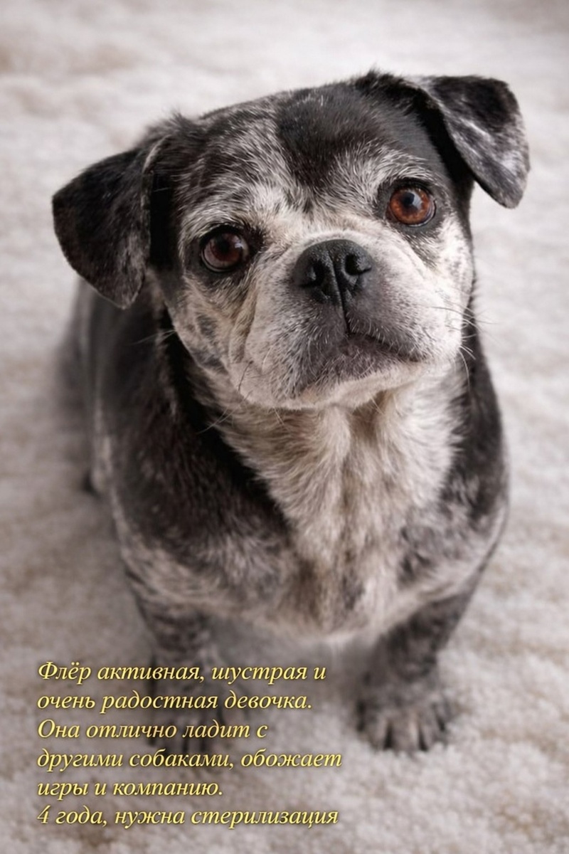 Флер    Можно листать-------->