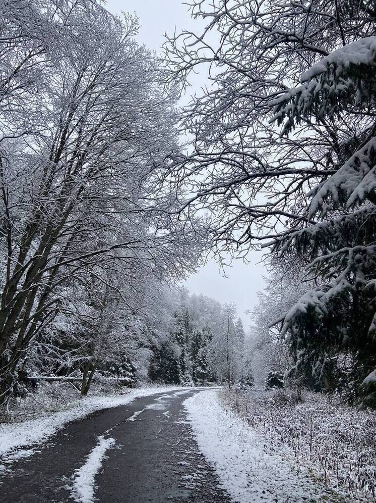   Елена Полякова
