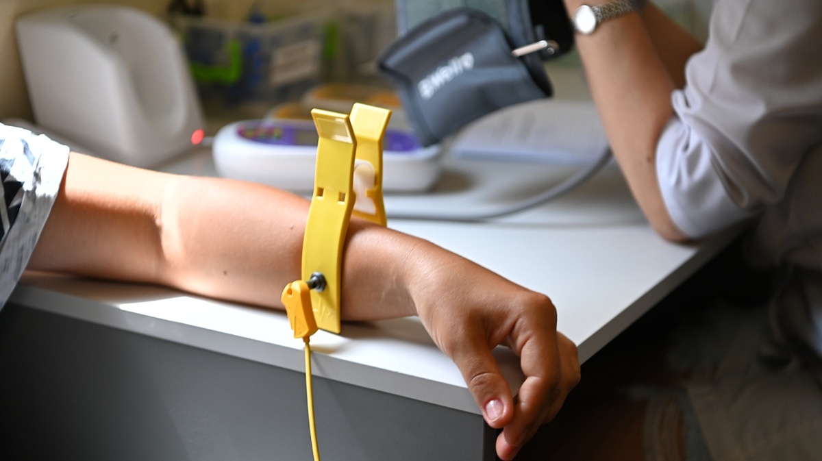     Фото: Андрей Зубов