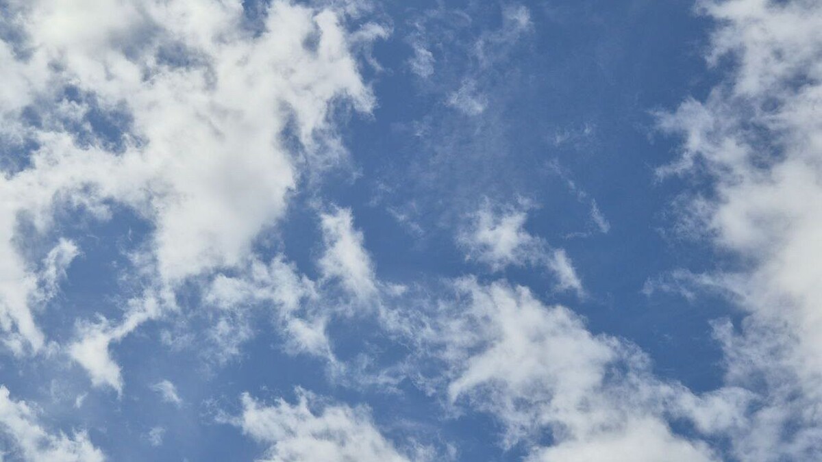    Фото: телеканал «Краснодар»