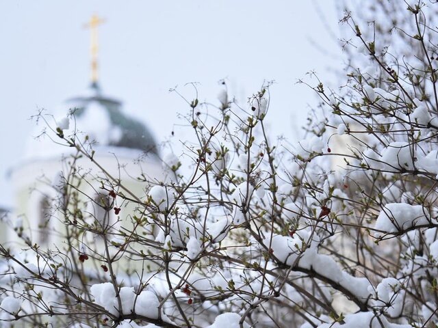    Фото: Москва 24/Никита Симонов