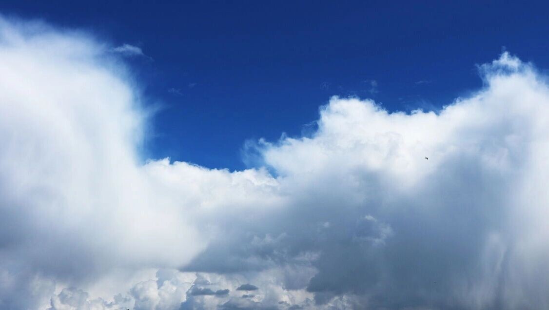    «Пока небо закрыто»: что происходит с ростовскими туристами в Дубае?   1MI