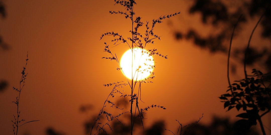На Земле может начаться новый ледниковый период