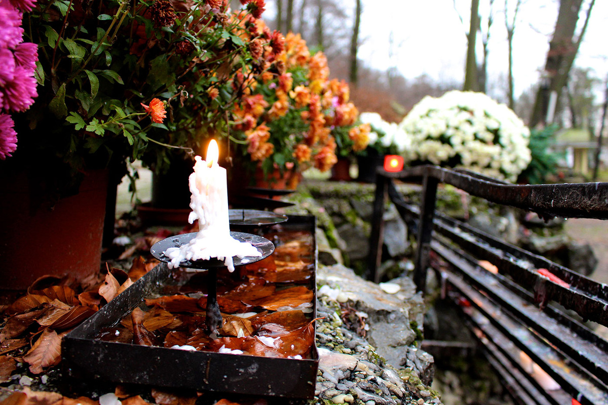 Фото из открытых источников