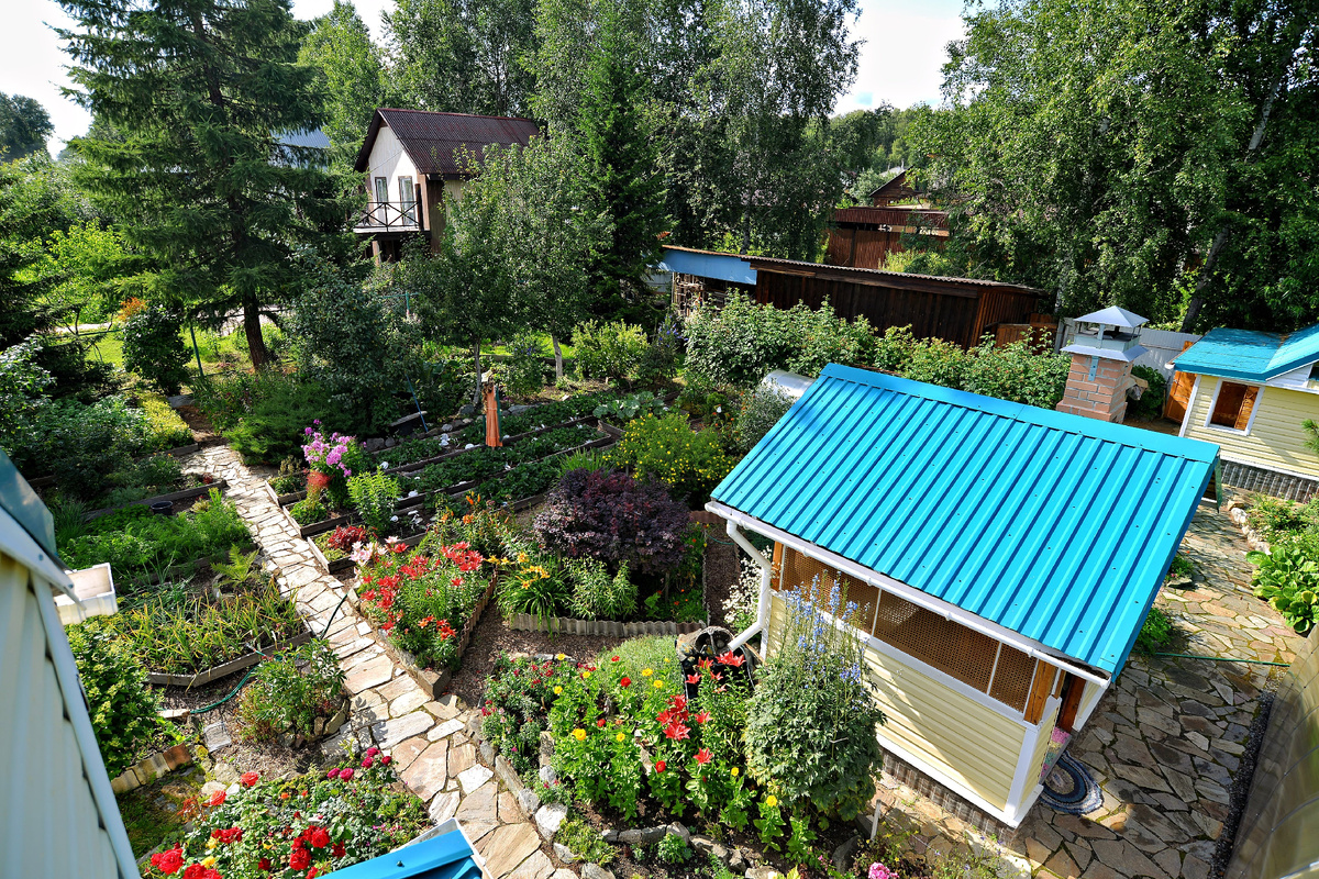 Фото: Архив Союза садоводов Екатеринбурга и Свердловской области.