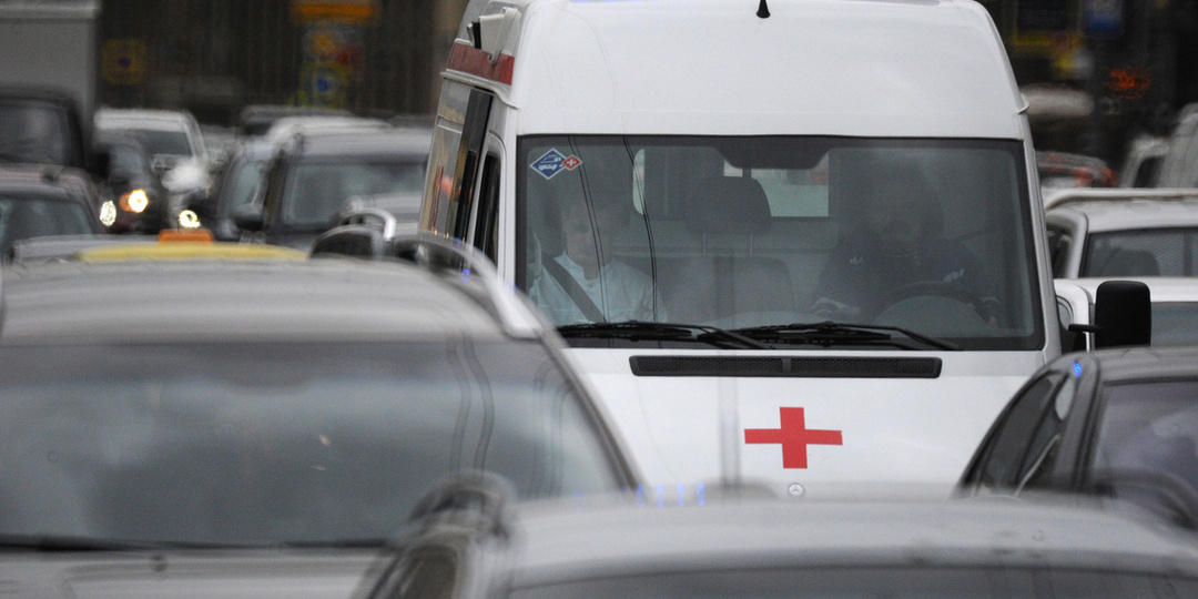 Россиянин попал в реанимацию из-за яда, разбросанного догхантерами