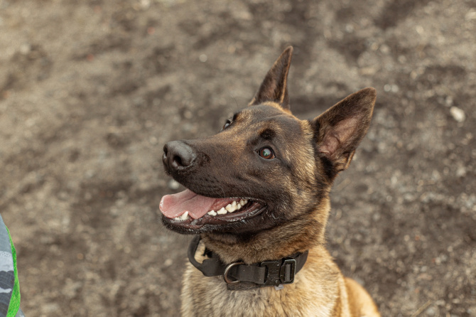 Фото: Екатерина Громова