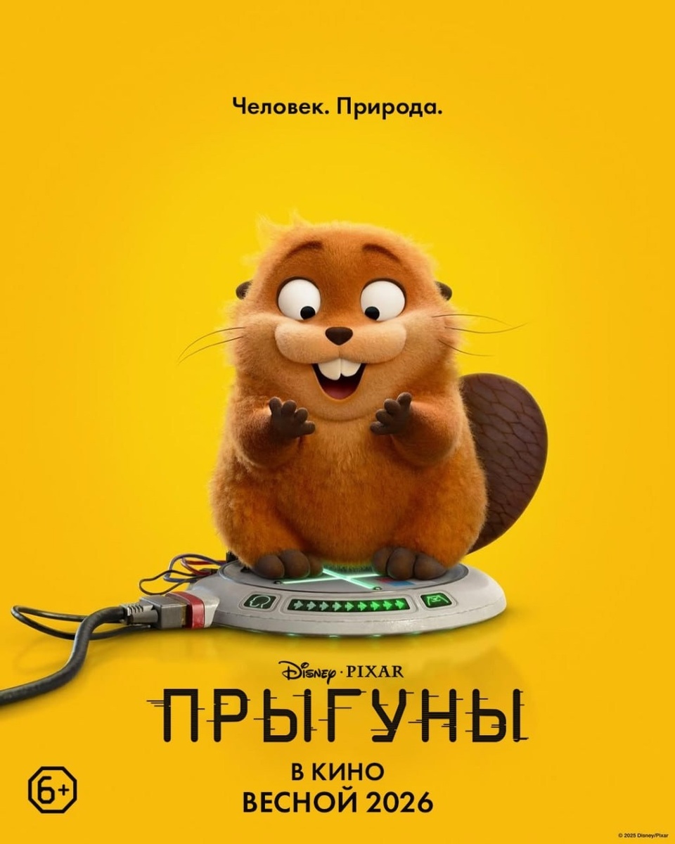 Не попадёт в официальный российский прокат