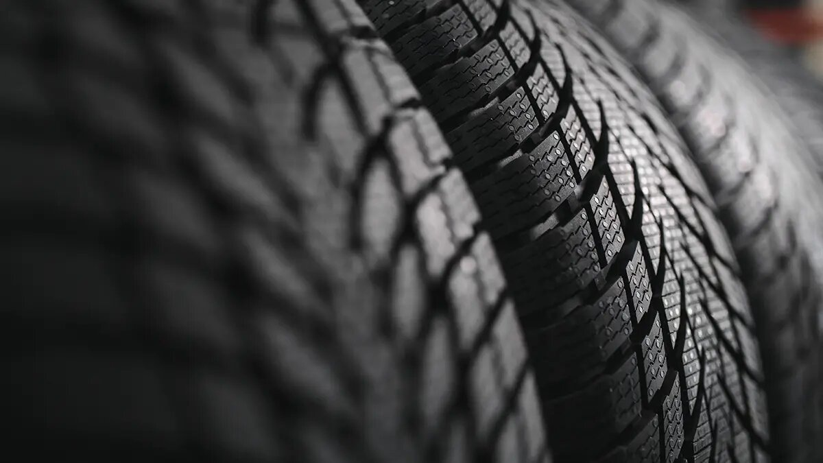    Фото: vm.ru Мила Кузнецова