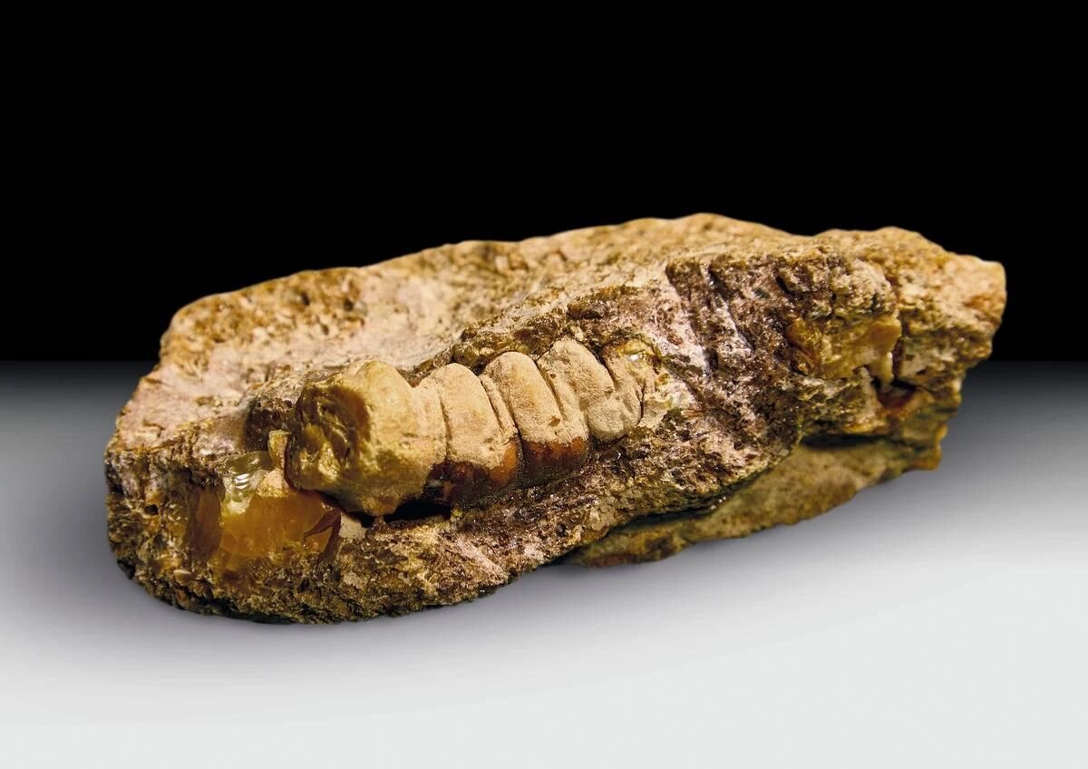    Фото пресс-службы Калининградского янтарного комбината