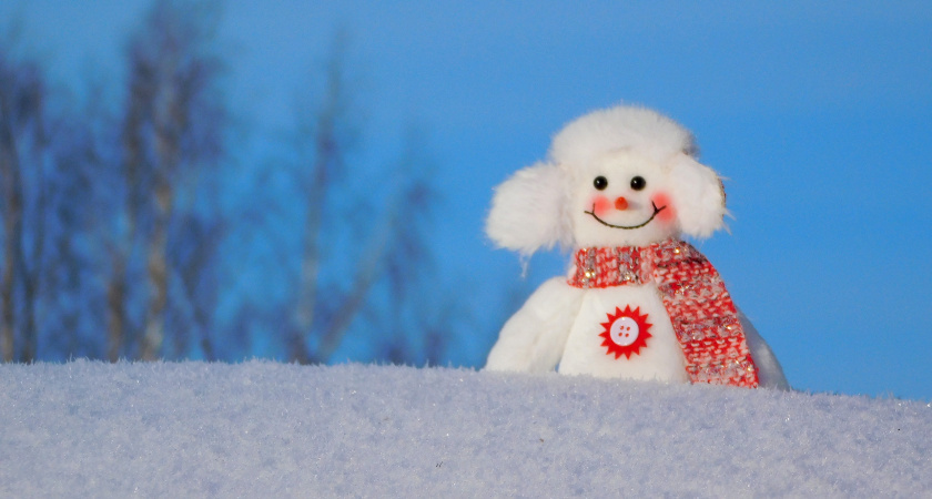    автор Вячеслав Вольгин