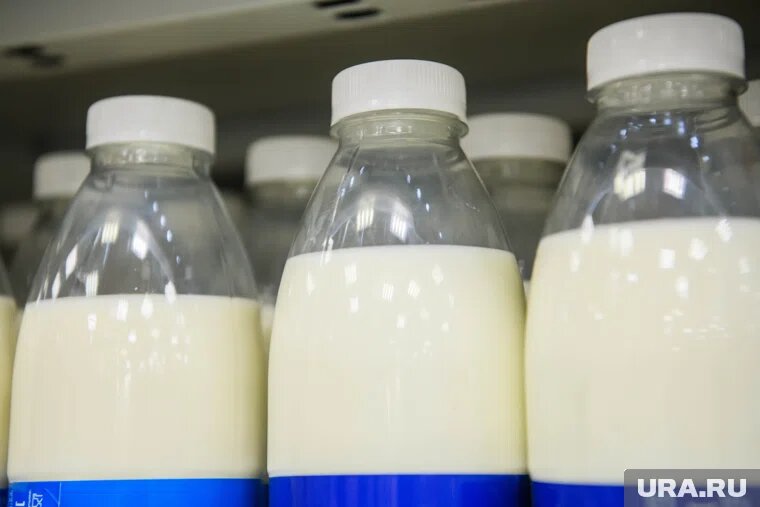 По России растет доля поддельной молочной продукции
Фото: Илья Московец © URA.RU