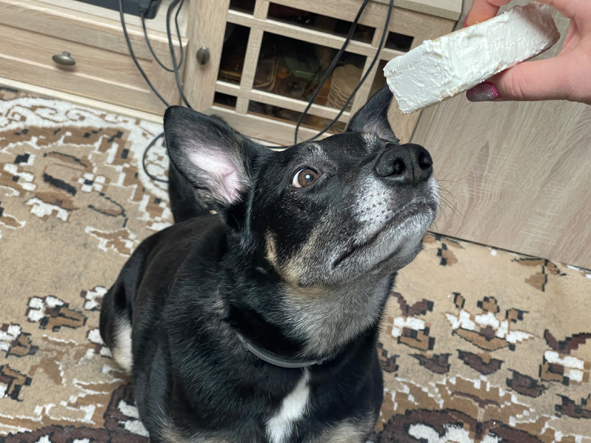 Как, например, появилась бы возможность хотя бы один лизь мороженого сделать 🥹!