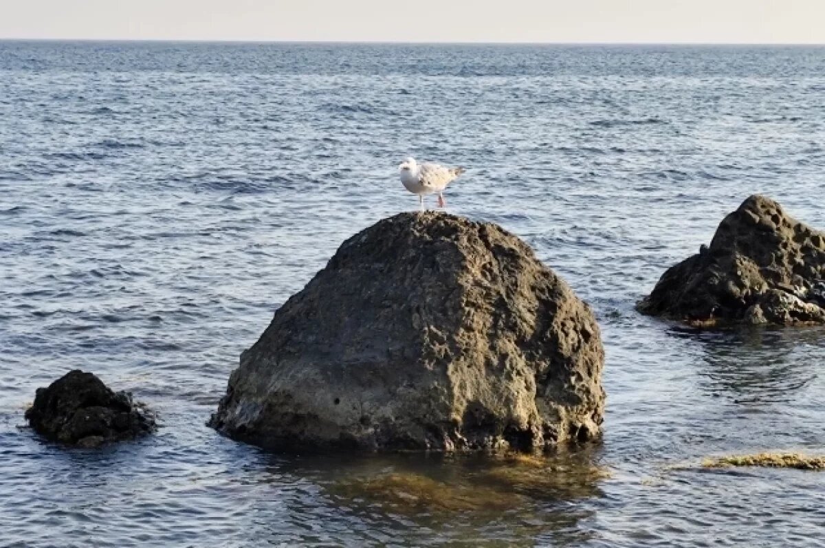    В Черном море 1 марта уничтожено три безэкипажных катера ВСУ