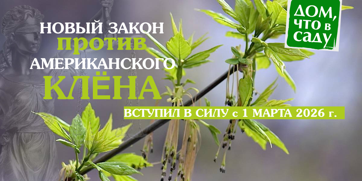 Дом, что в саду