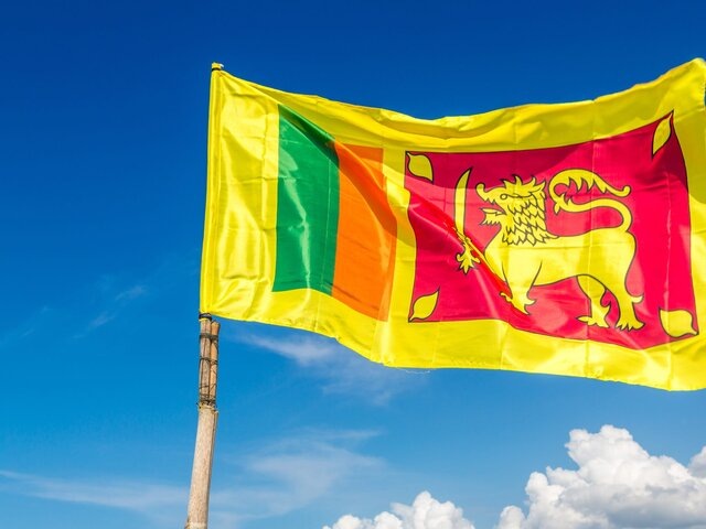    Фото: 123RF.com/bloodua