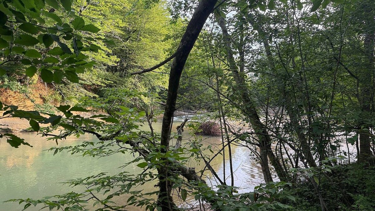    Фото: телеканал «Краснодар»