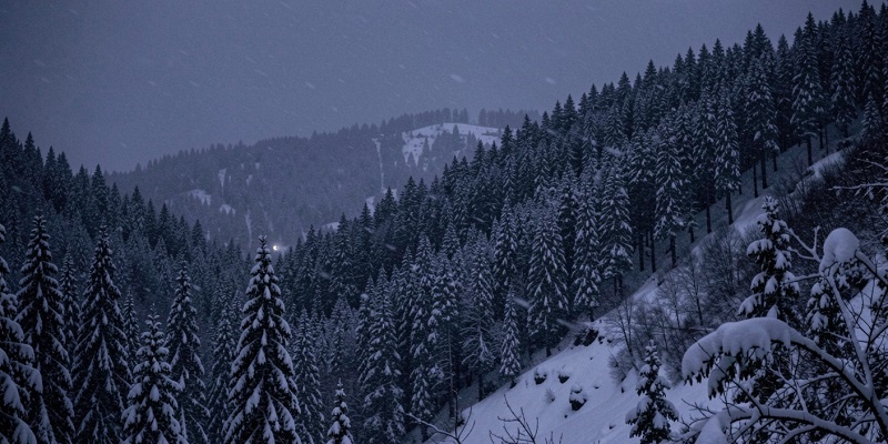 Плато Кваркуш, Пермский край: что случилось с туристами в уральских горах?