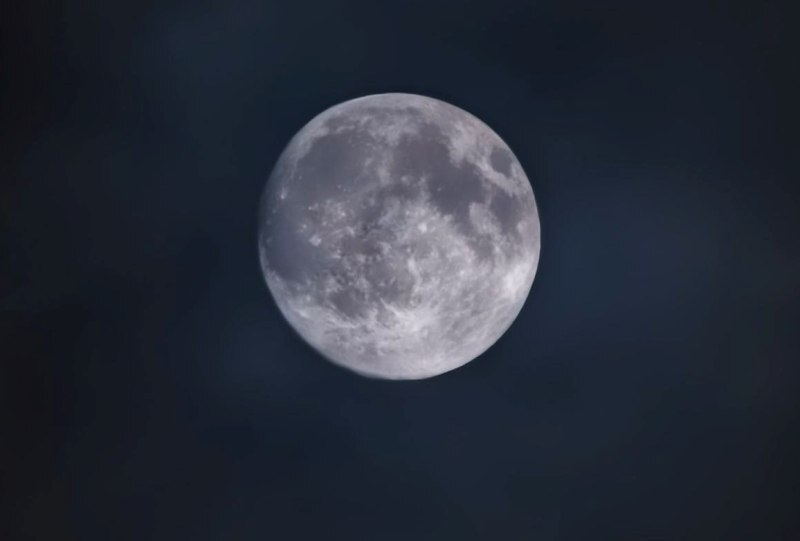 Фото: ИА "Тюменская линия"