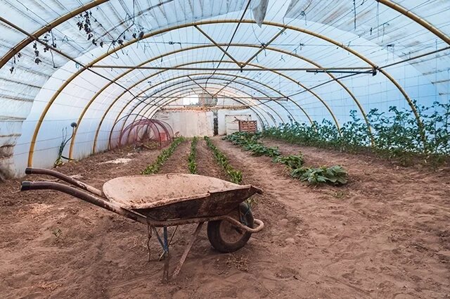    К чему снится теплица?